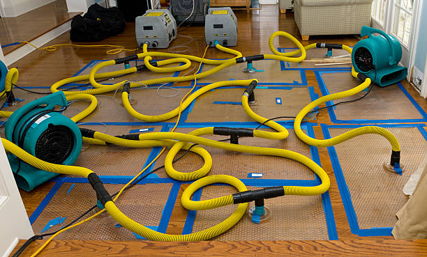 Professional Flood Damage Restoration technician working in Church Hill, MD
